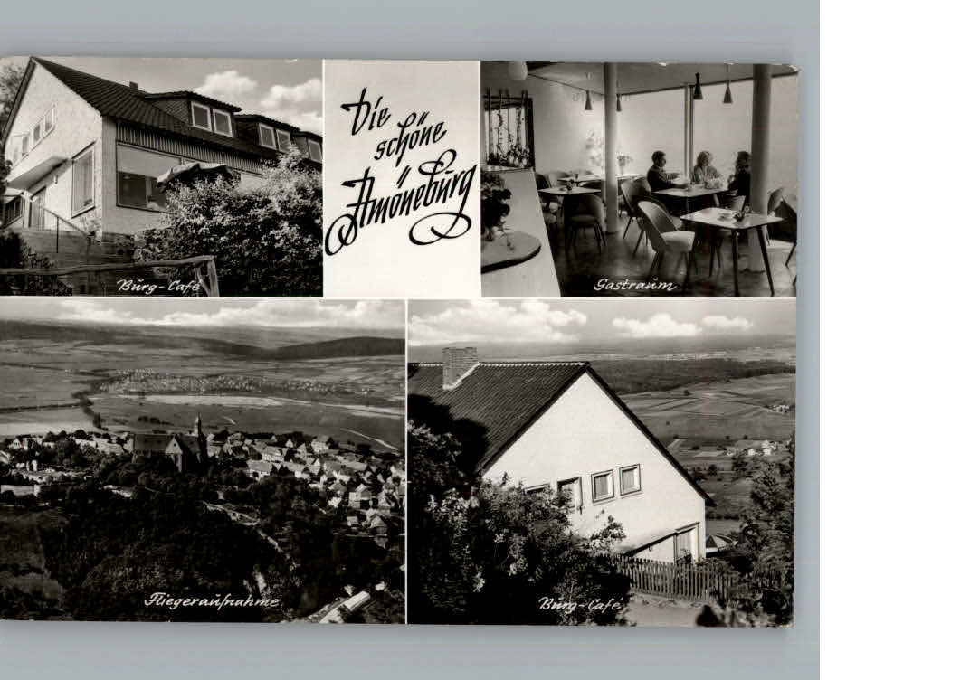 Amoeneburg Fliegeraufnahme