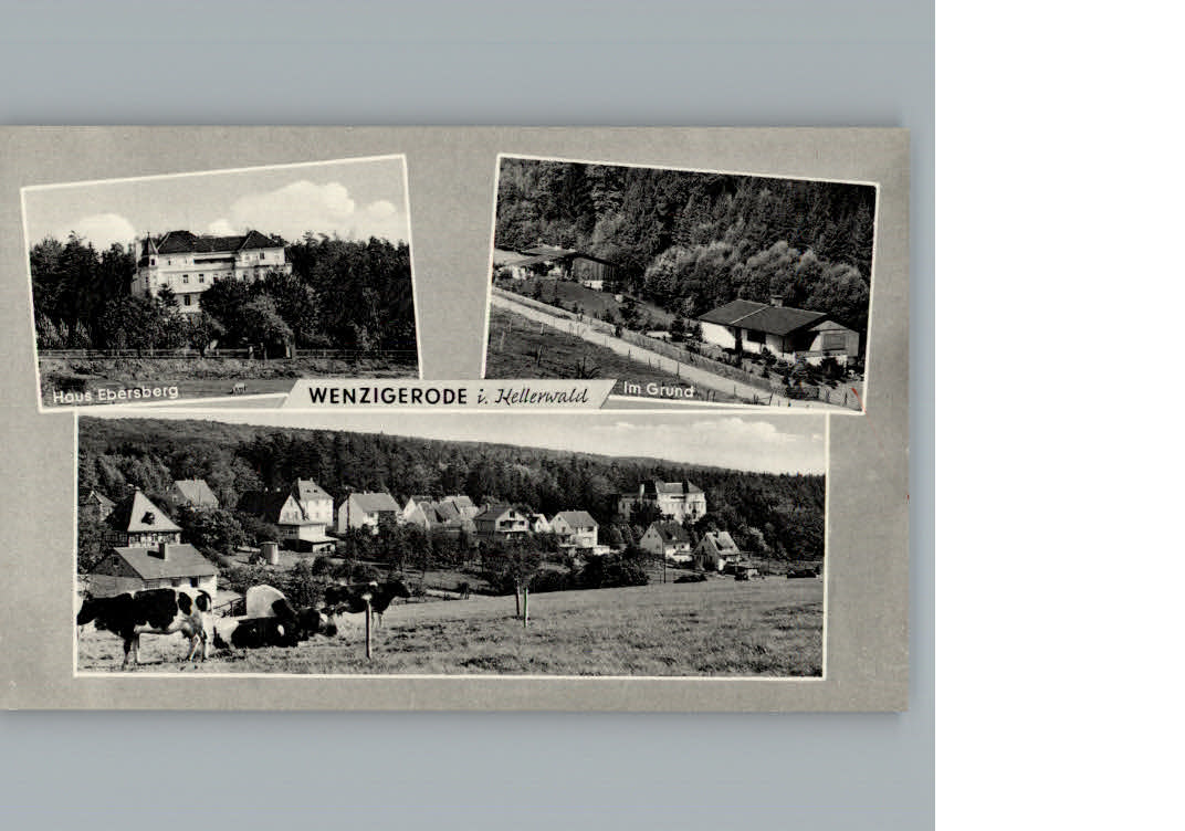 Wenzigerode Haus Ebersberg