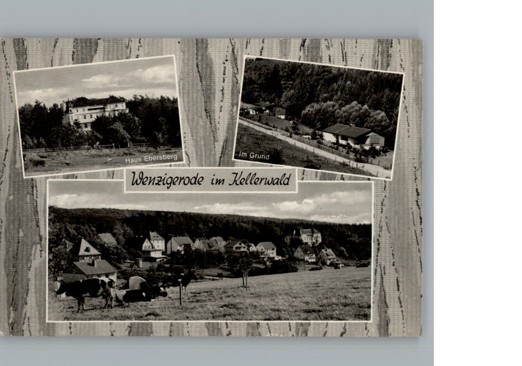 Wenzigerode Haus Ebersberg