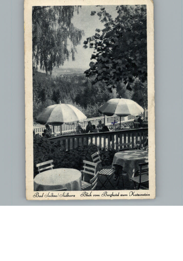 Bad Sachsa Harz Hotel Zum Katzenstein