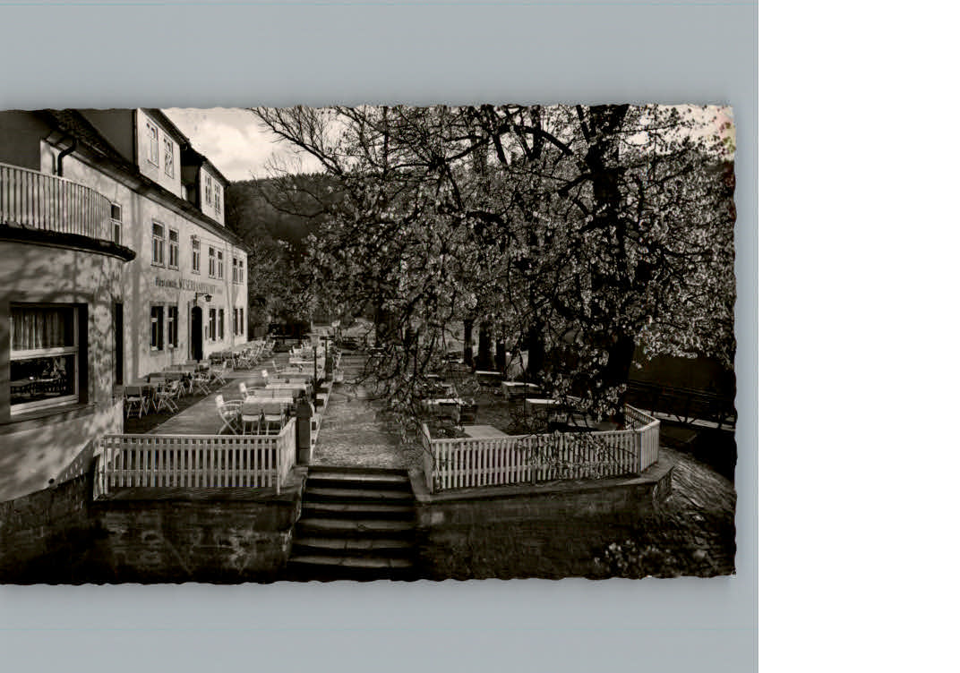 Bad Karlshafen Hotel Weserdampfschiff