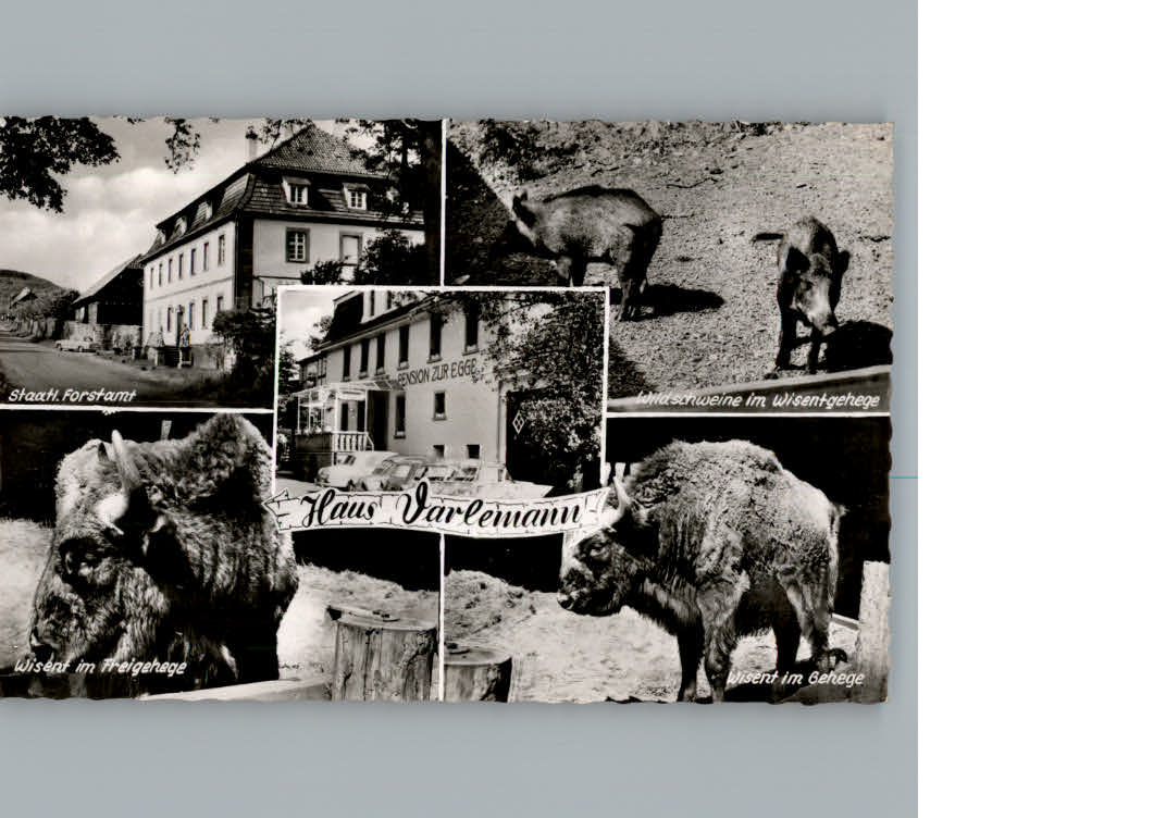 Hardehausen Gasthaus - Pension Zur Egge