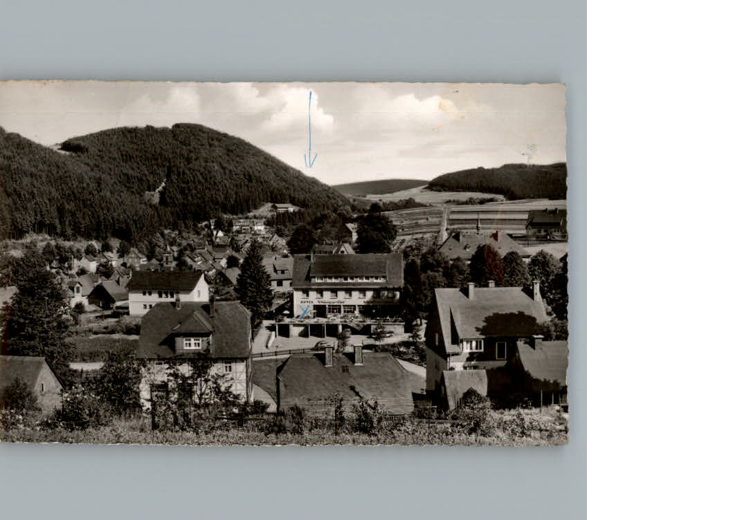 Willingen Sauerland Hotel Willinger Hof