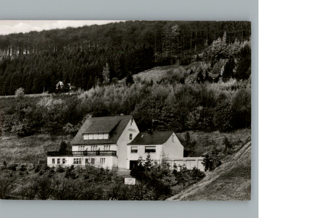 Willingen Sauerland Hotel - Pension