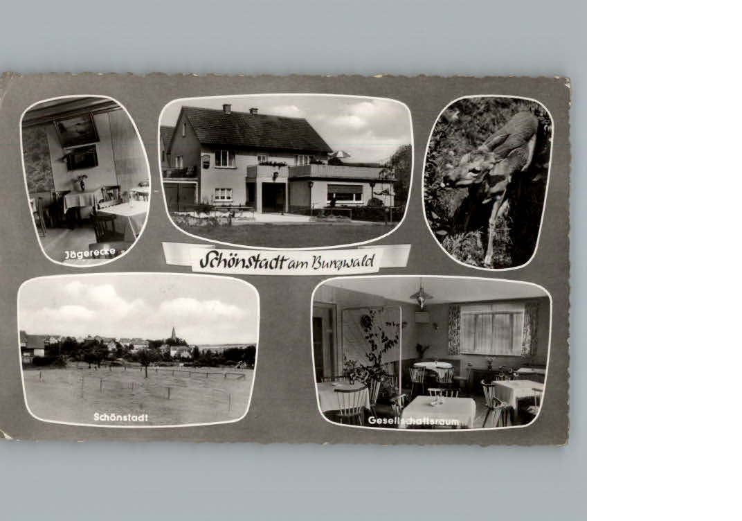 Schoenstadt Gastwirtschaft - Pension Zur Aue