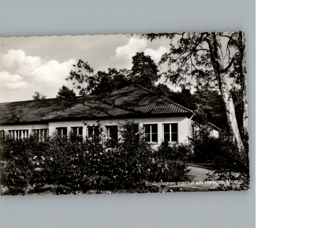Steinbeck IbbenBueren Forsthaus zum Heiligen Meer