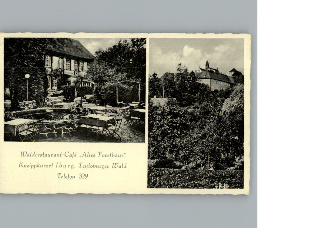 Bad Iburg Restaurant Cafe Altes Forsthaus