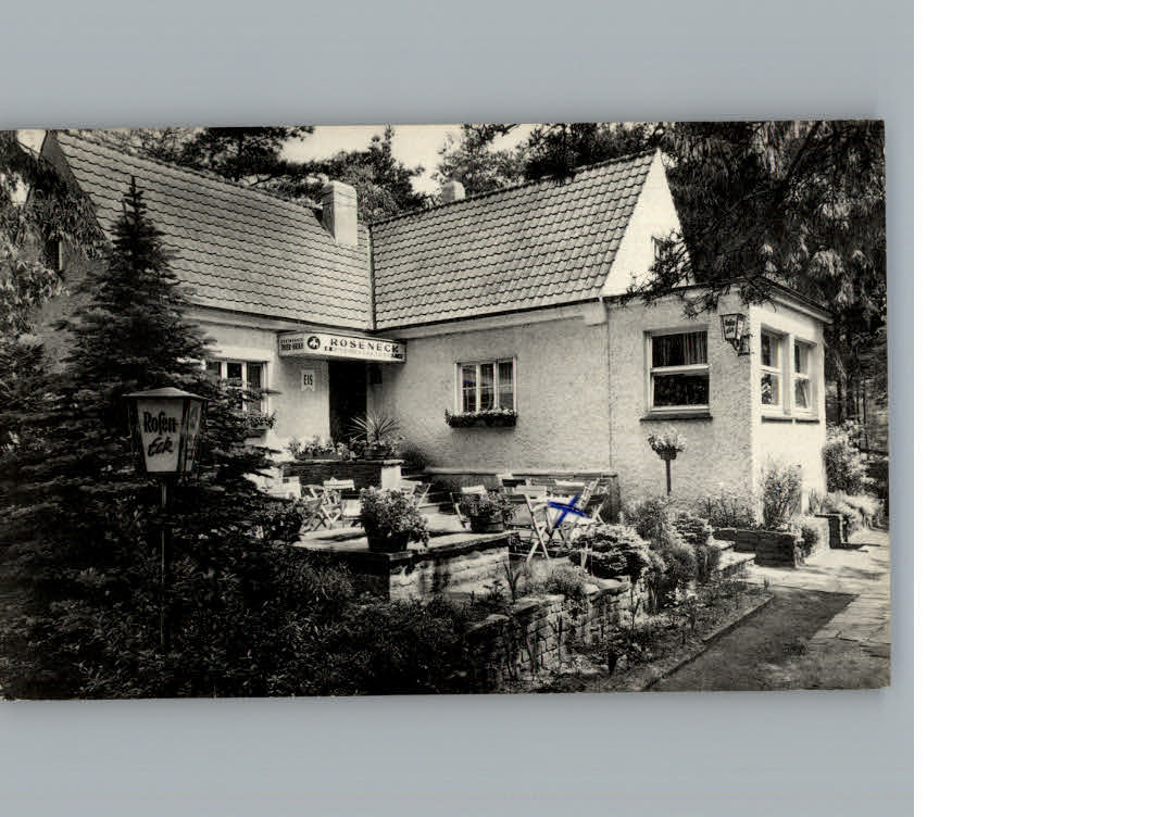 Schlangen Lippe NRW Cafe Restaurant Roseneck