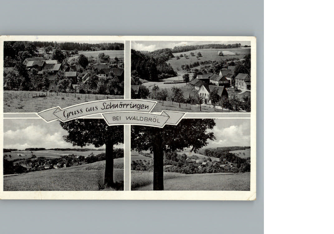 Schnoerringen Waldbroel