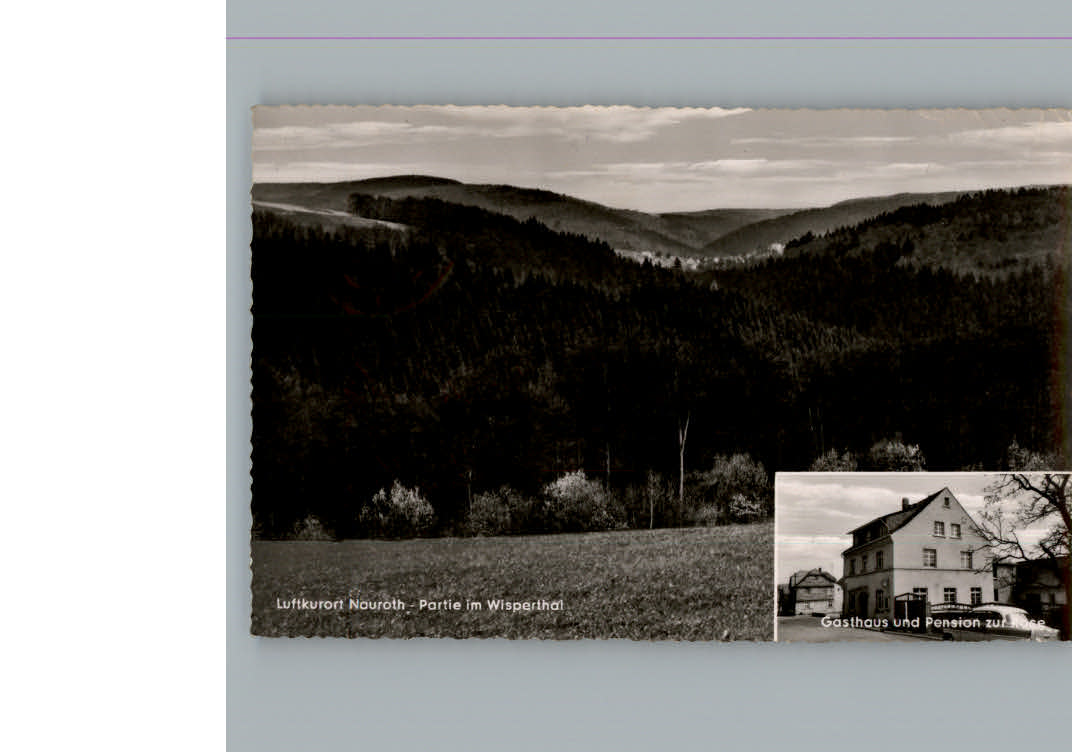 Nauroth Heidenrod Gasthaus - Pension Zur Rose