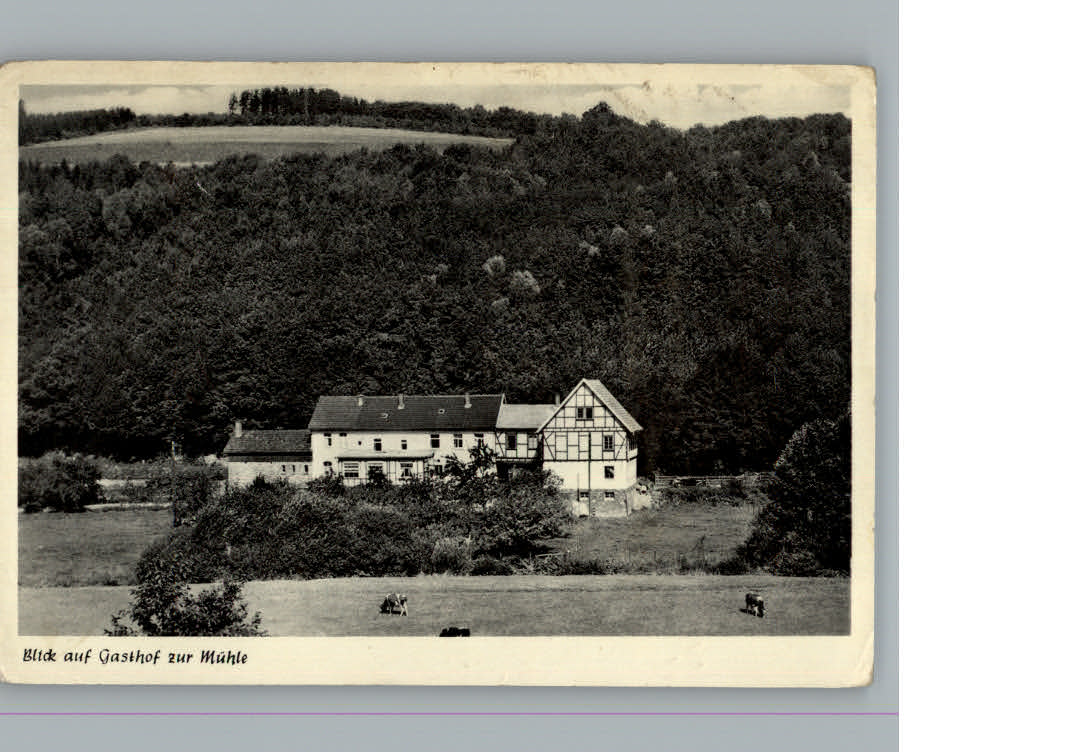 Altenbrendebach Gasthof Zur Muehle