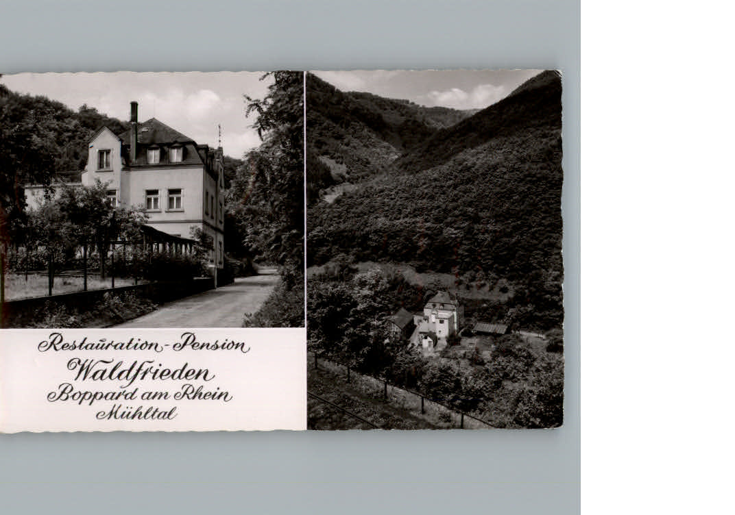 Boppard Rhein Restauration Waldfrieden