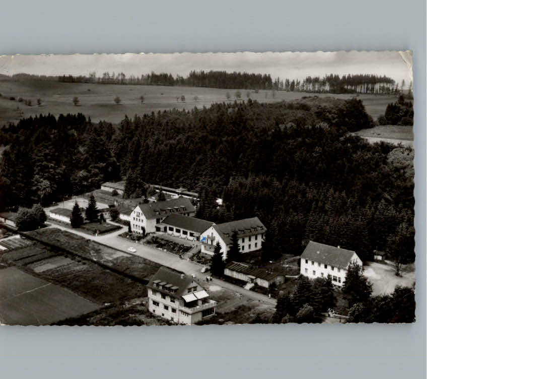 Rehe Fliegeraufnahme