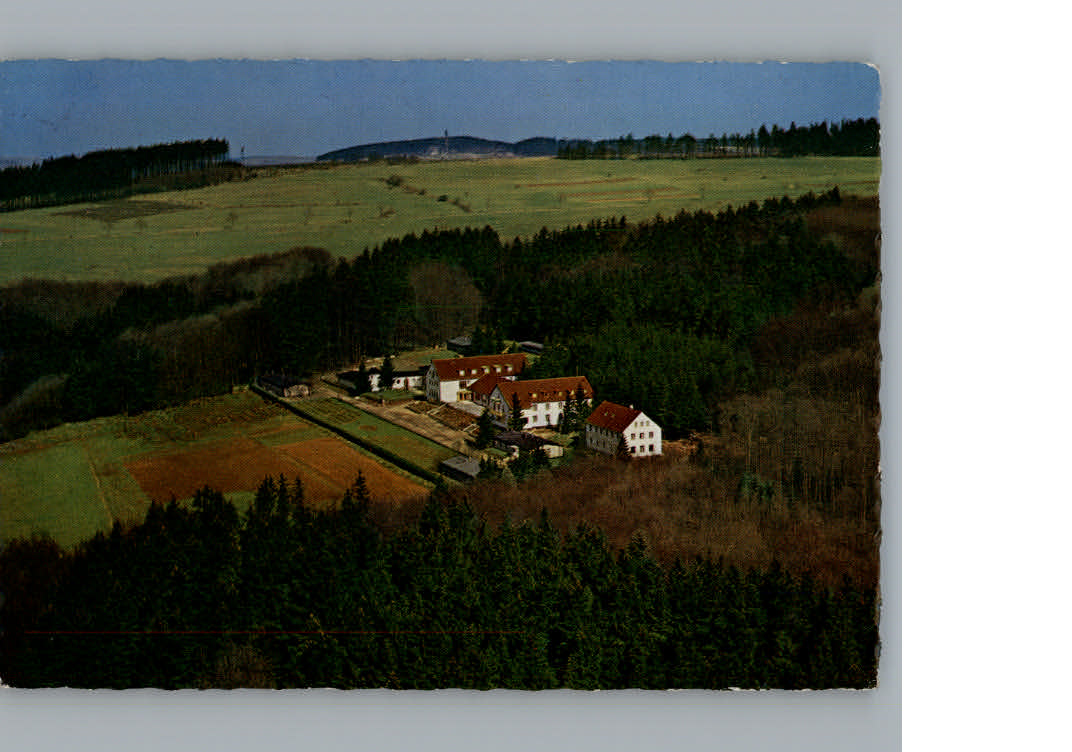 Rehe Fliegeraufnahme