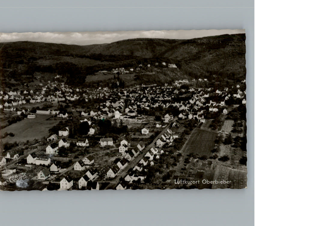 Oberbieber