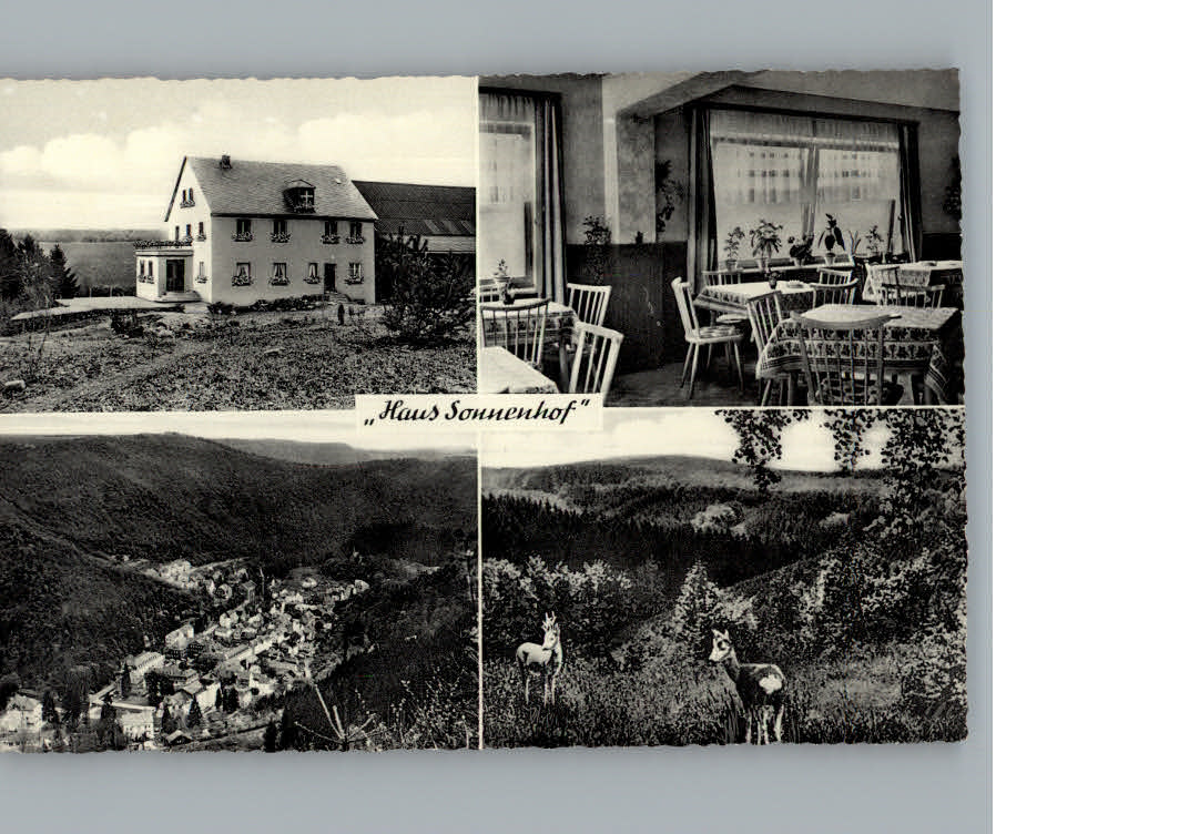 Bad  Bertrich Haus Sonnenhof