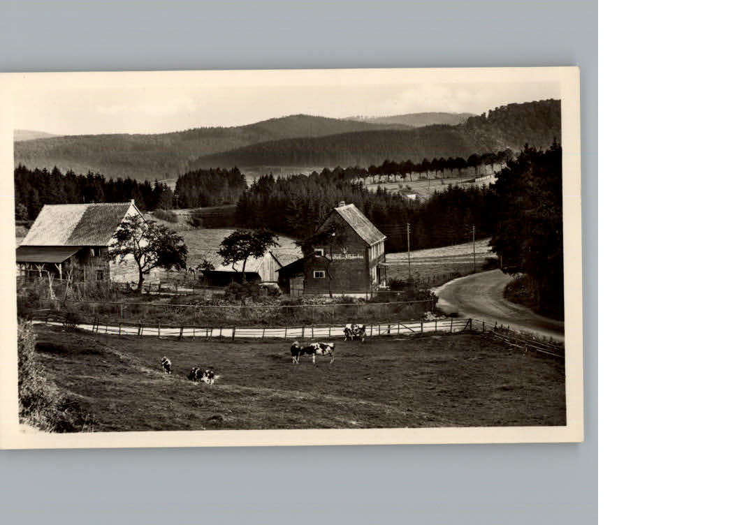 Hundeshagen Gasthof Zum St. Hubertus