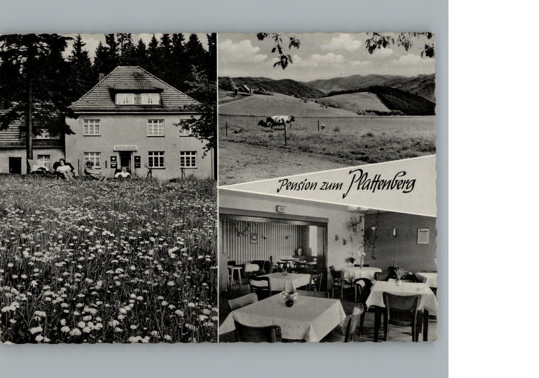 Hoppecke Pension Zum Plattenberg