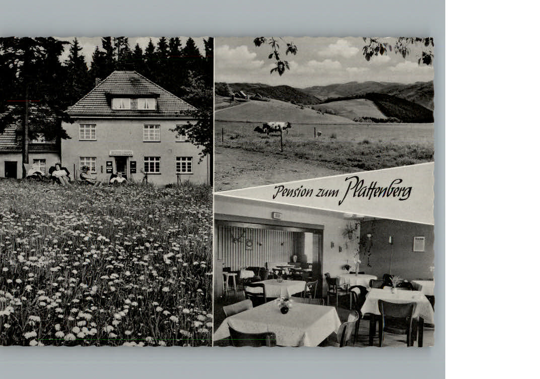 Hoppecke Pension Zum Plattenberg