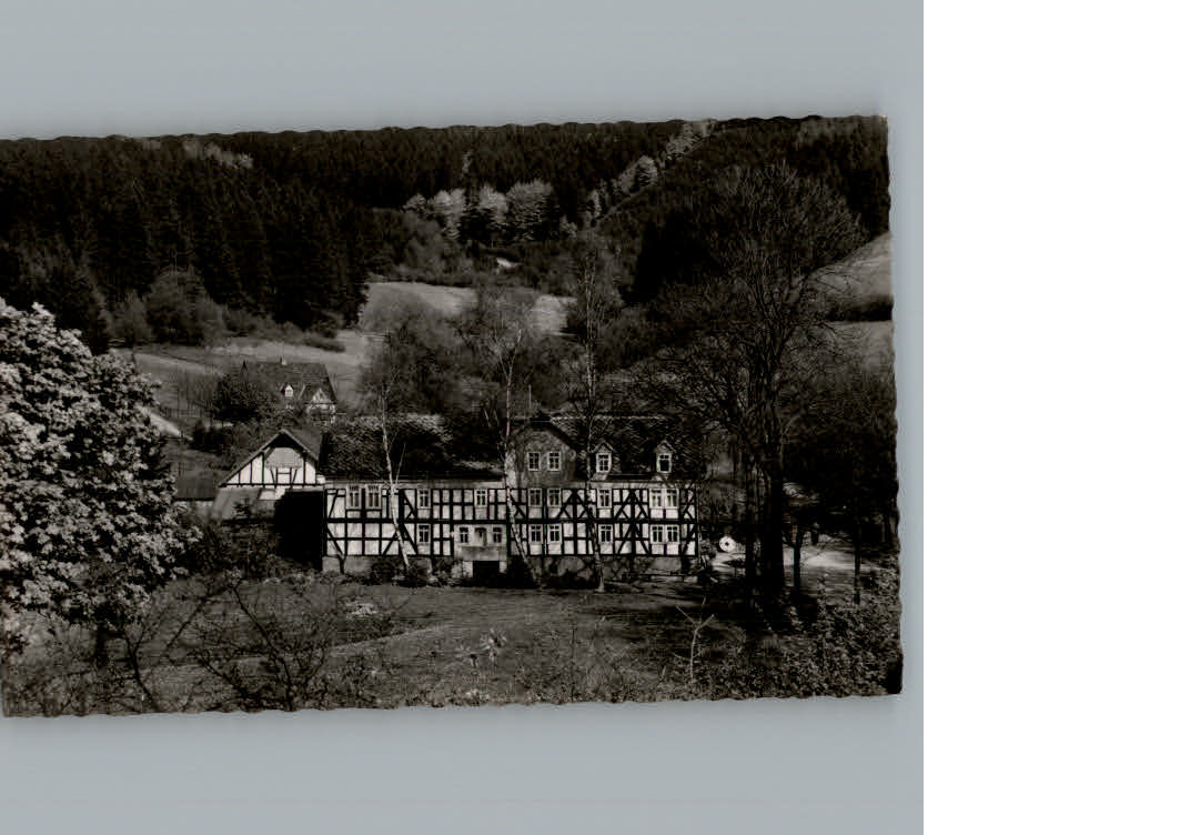 Banfe Pension Goebel