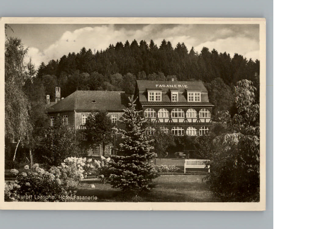 Bad  Laasphe Hotel Fasanerie