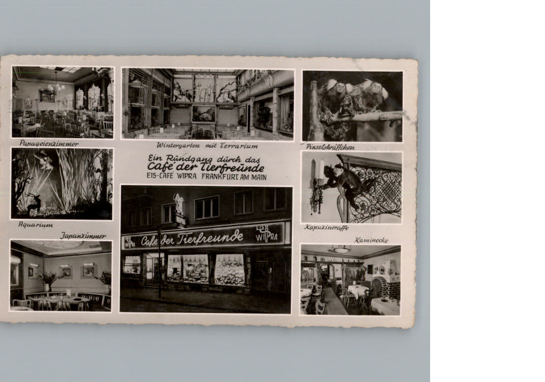 Frankfurt Main Cafe der Tierfreunde Eis-Cafe Wipra