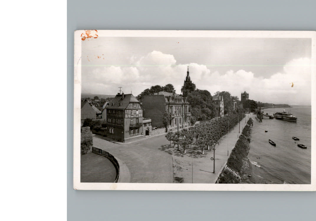 Eltville Rhein Rheinpromenade