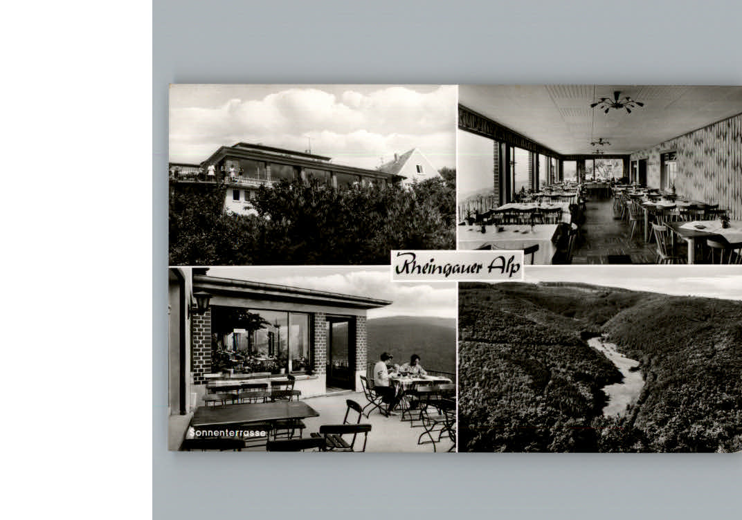 Presberg Rheingau Gaststaette Rheingauer Alp