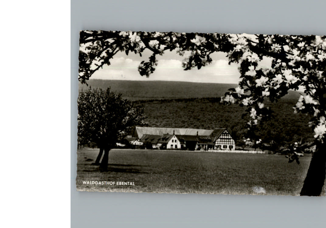 Ruedesheim Rhein Gasthof Ebental