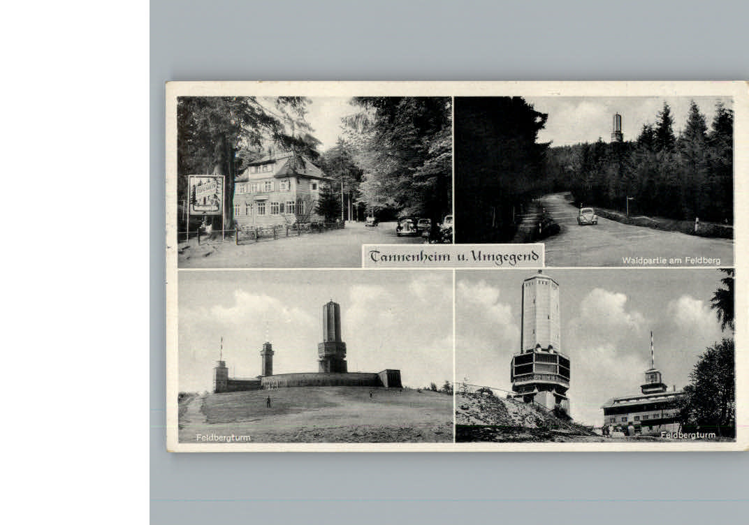 Sandplacken Taunus Tannenheim