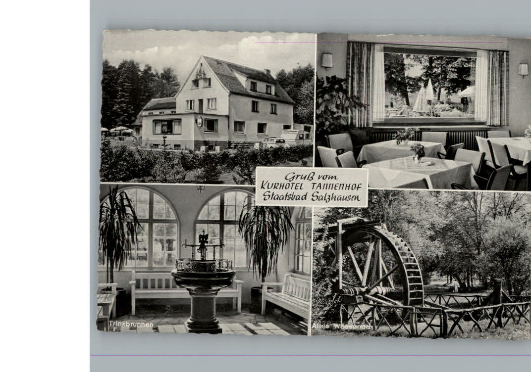 Bad Salzhausen Kurhotel Tannenhof