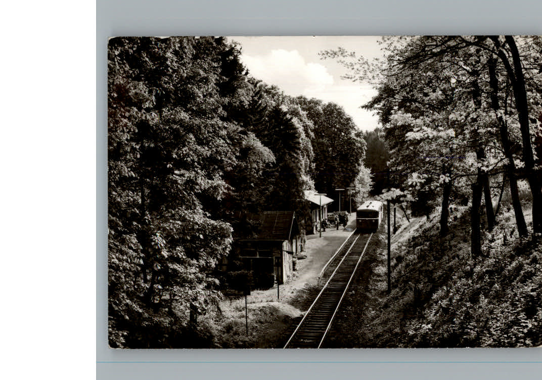 Bad Salzhausen Bahnhof Eisenbahn