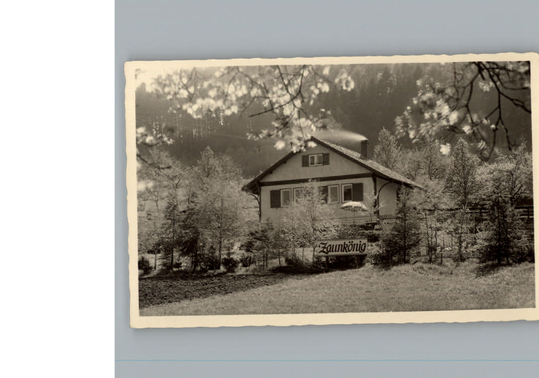 Bad  Orb Cafe Zaunkoenig