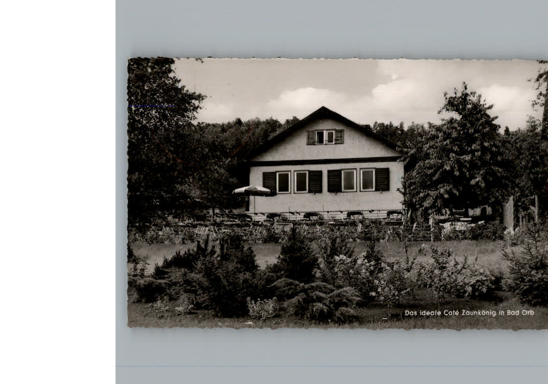 Bad  Orb Cafe Zaunkoenig