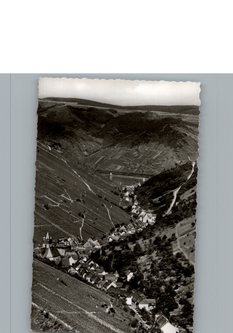 Bacharach Rhein Fliegeraufnahme