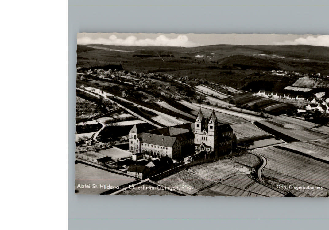 Ruedesheim Rhein Fliegeraufnahme