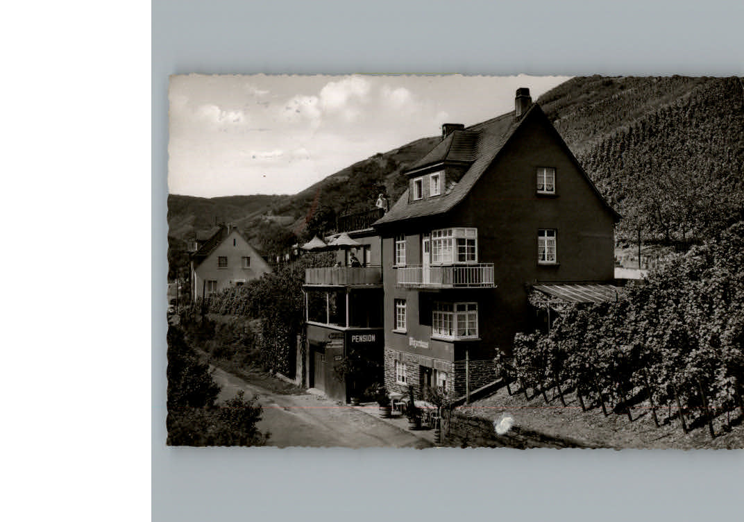 Bacharach Rhein Pension Hermesdorf