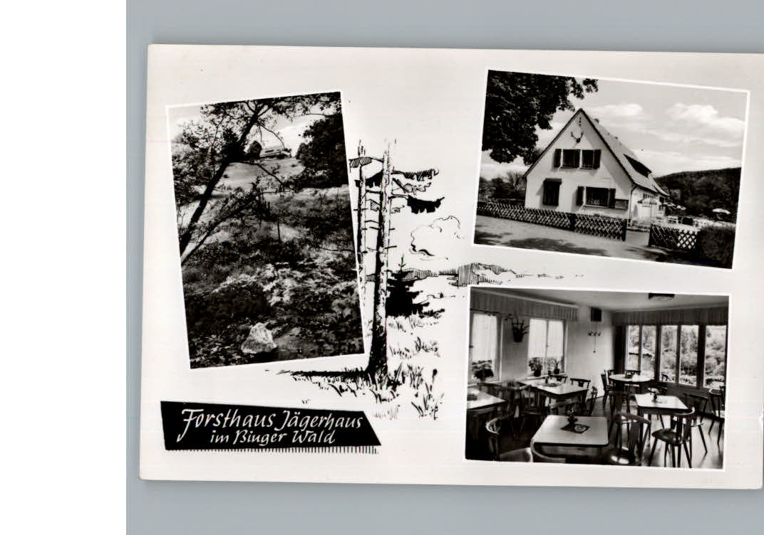 Bingen Rhein Forsthaus Jaegerhaus