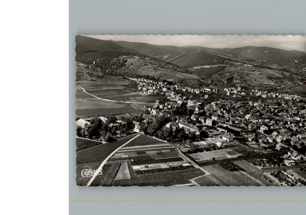 Wachenheim Weinstrasse Fliegeraufnahme