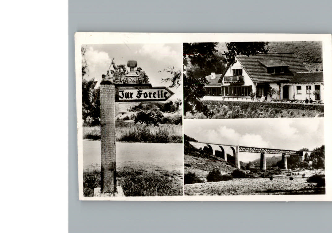 Eiswoog Gasthof Forelle