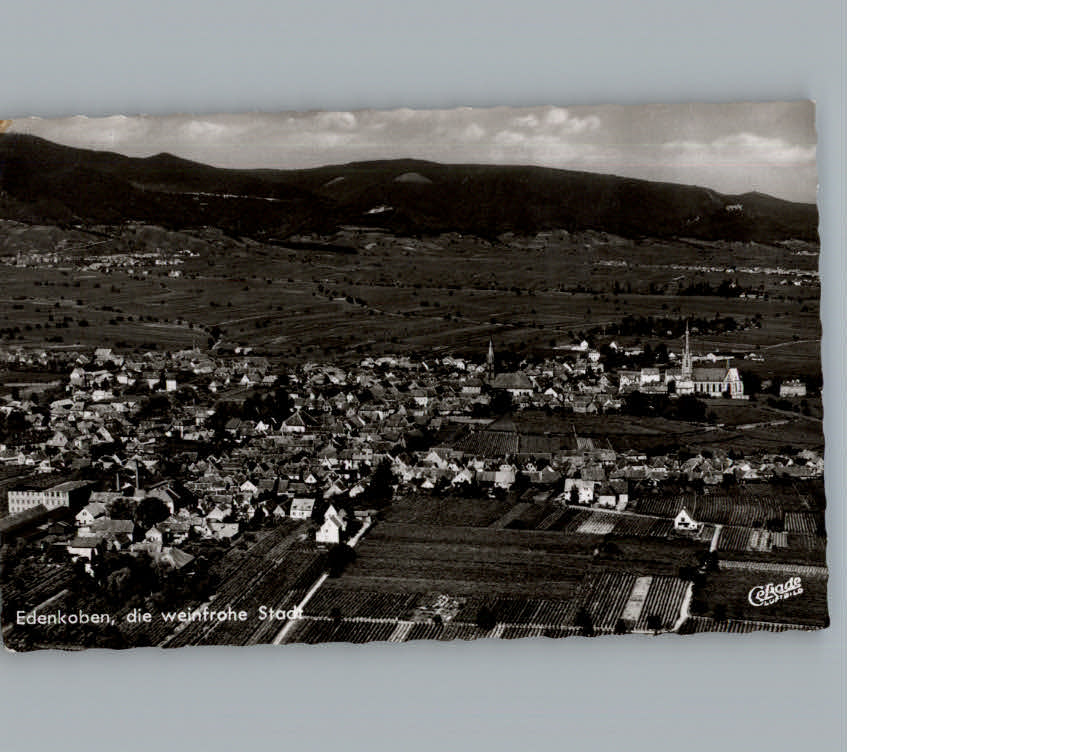 Edenkoben Fliegeraufnahme