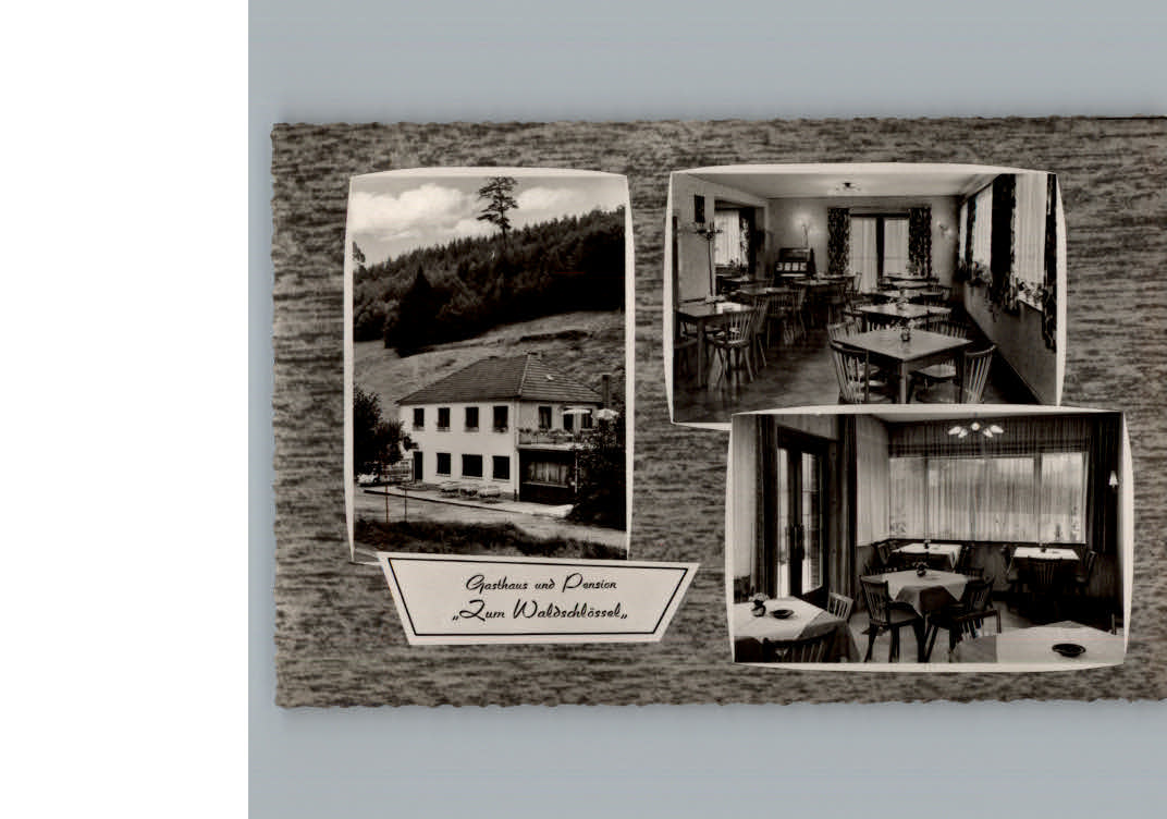 Speyerbrunn Gasthaus zum Waldschloessel