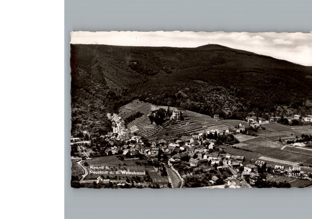 Neustadt Weinstrasse Fliegeraufnahme