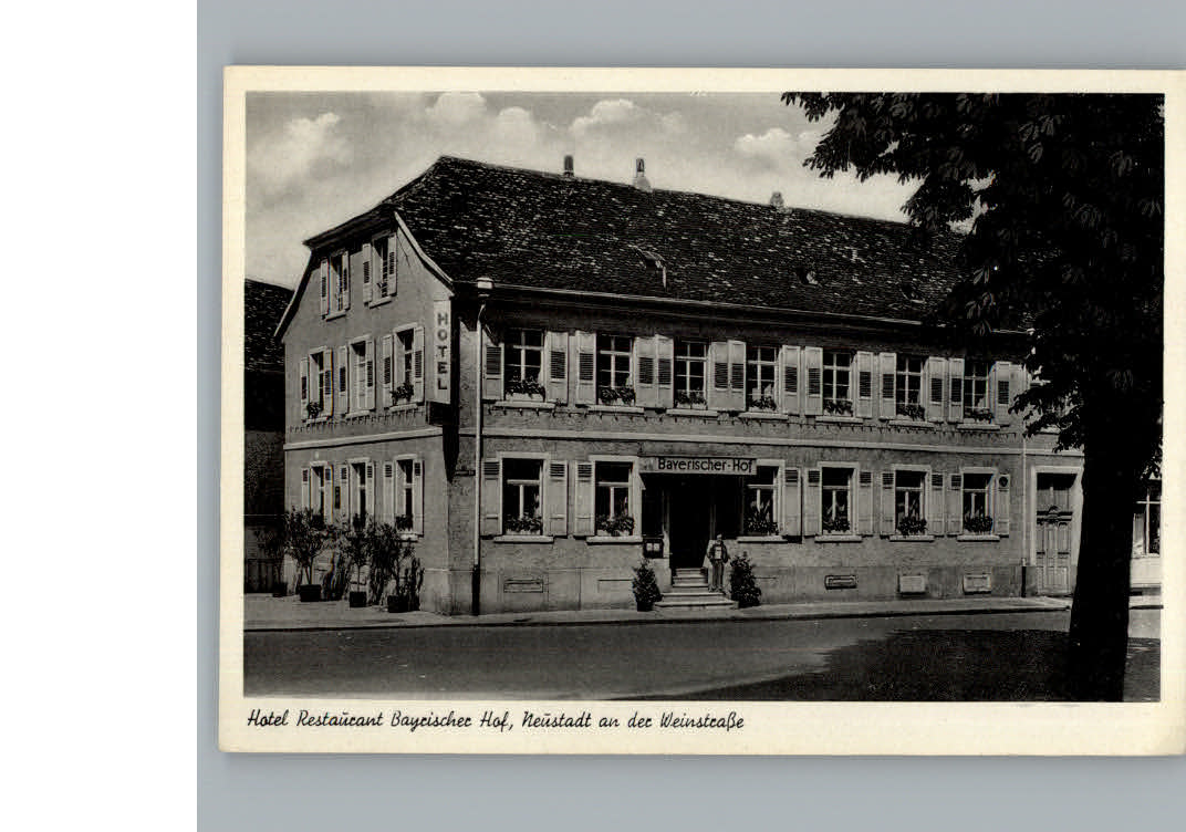 Neustadt Weinstrasse Hotel Bayrischer Hof