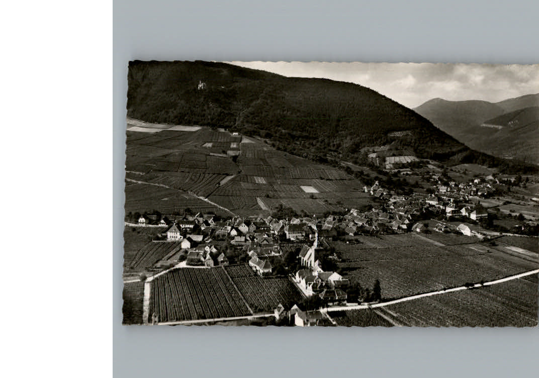 Burrweiler Fliegeraufnahme