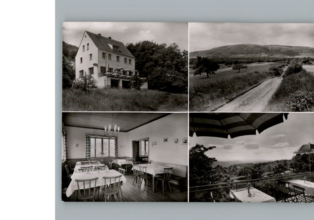 Dannenfels Pension Pfalzblick