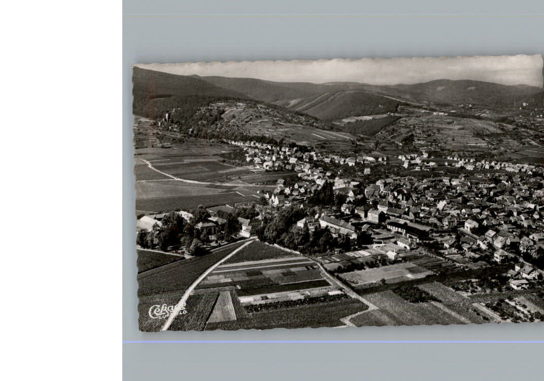 Wachenheim Weinstrasse Fliegeraufnahme