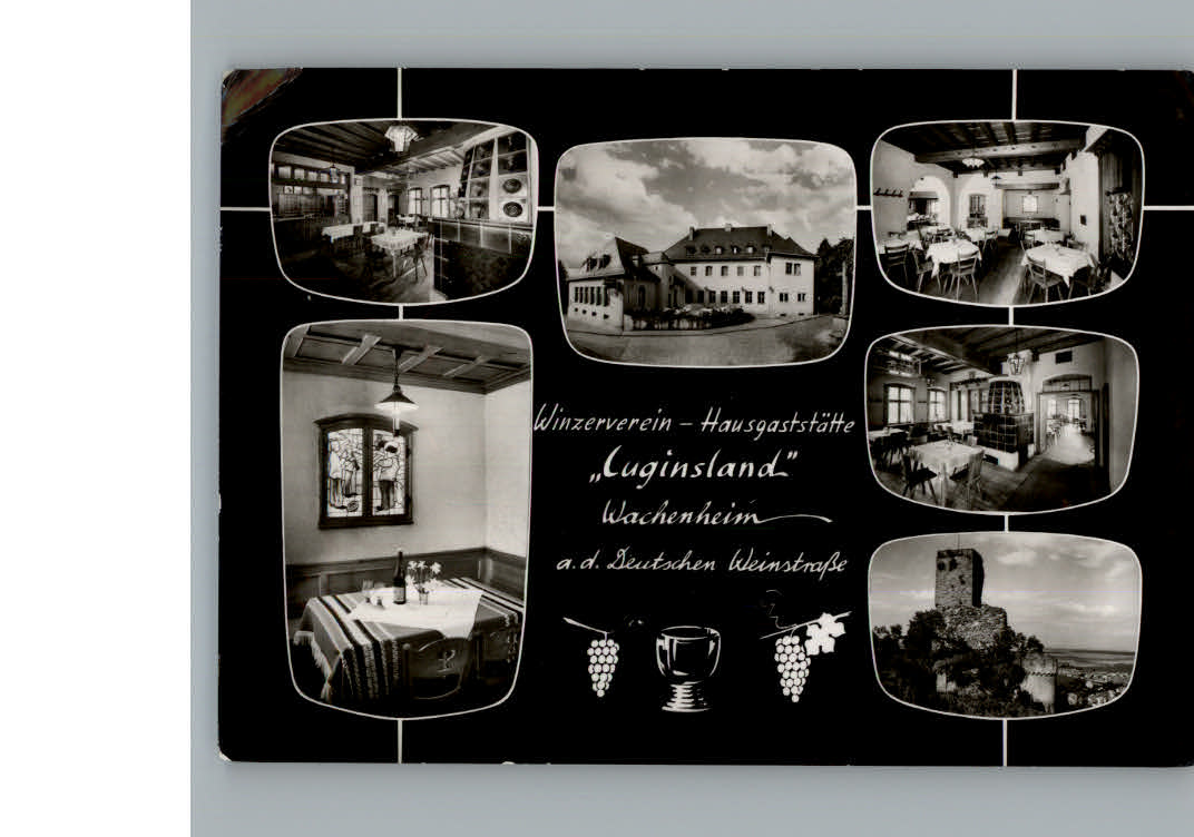 Wachenheim Weinstrasse Gaststaette Luginsland