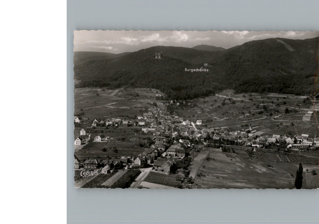 Hambach Neustadt Fliegeraufnahme