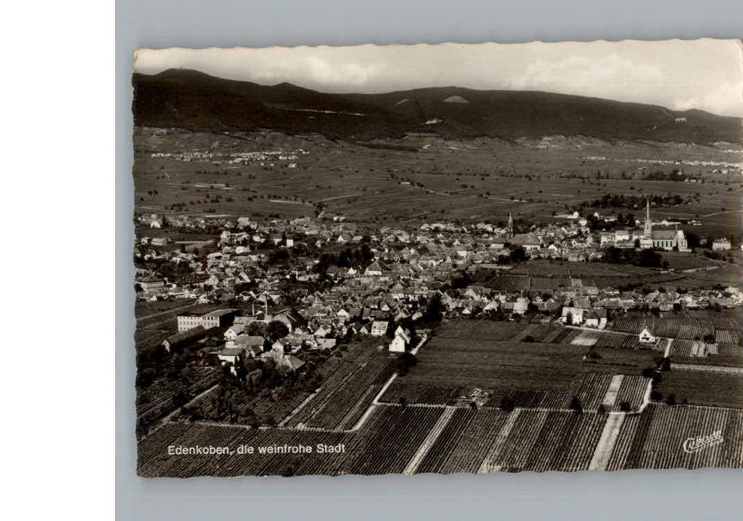 Edenkoben Fliegeraufnahme